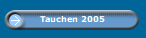 Tauchen 2005