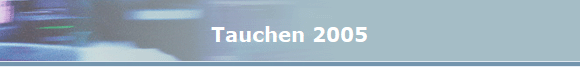 Tauchen 2005