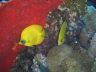PICT0020