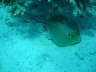 PICT0036